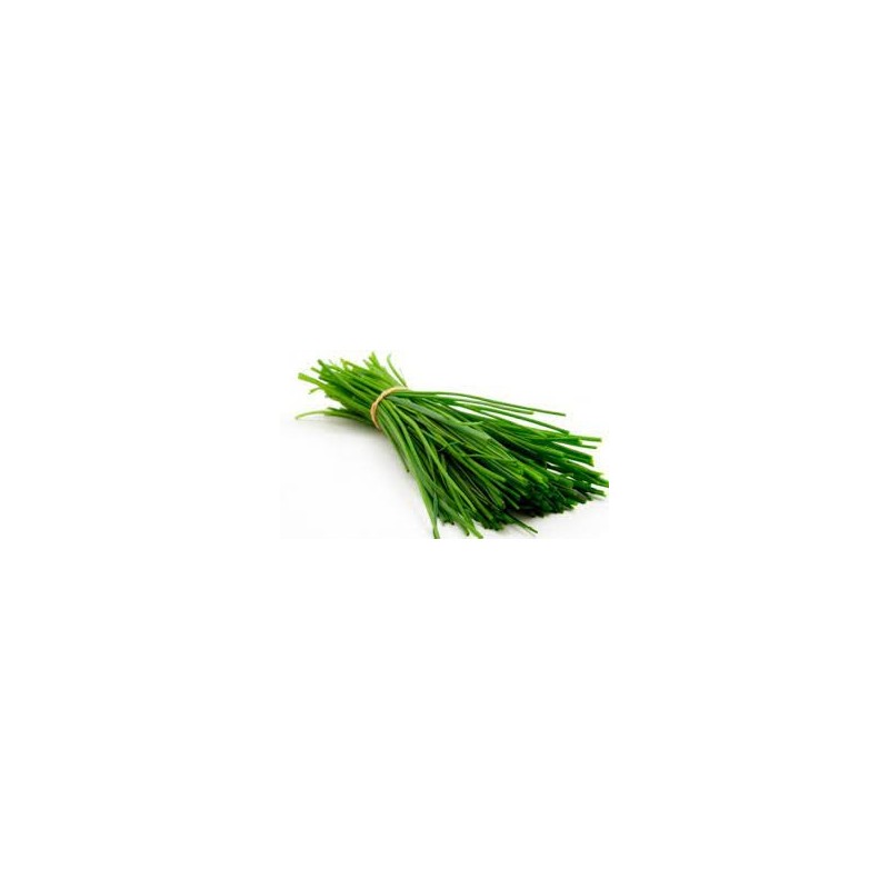 Ciboulette